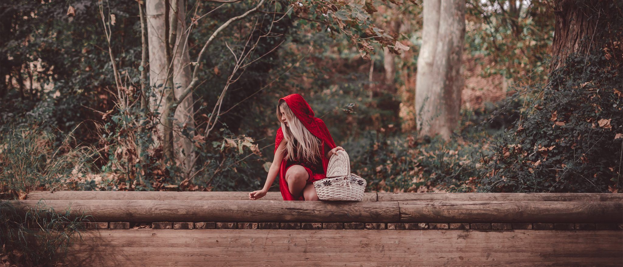 Fantasy_little_red_riding_hood-15 copia